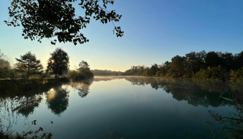 Golden Carp Lake, Big Carp Fishing France with a Social Lodge, lake photo 15