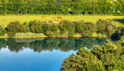 Golden Carp Lake, Big Carp Fishing France with a Social Lodge, lake photo 9