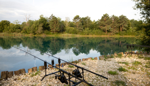 Golden Carp Lake, Big Carp Fishing France with a Social Lodge, lake photo 8