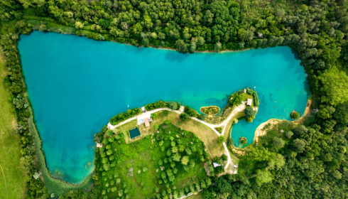 Golden Carp Lake, Big Carp Fishing France with a Social Lodge, lake photo 21