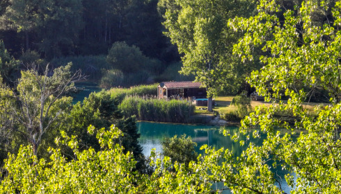 Golden Carp Lake, Big Carp Fishing France with a Social Lodge, Cabin Accommodation & Swim