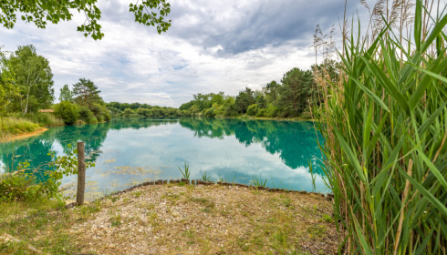 Golden Carp Lake, Big Carp Fishing France with a Social Lodge, Cabin Swim