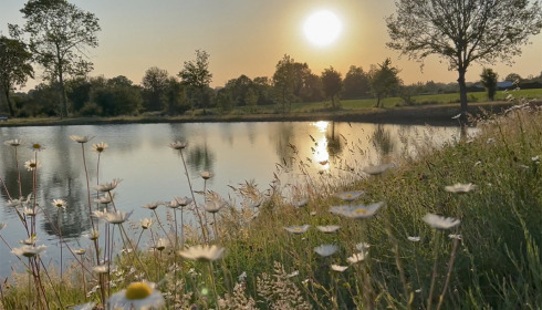 Heart Lake, Exclusive Carp Fishing France with Accommodation, lake photo 5