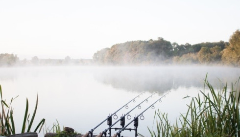 Jonchery, Proven Carp Fishing France, lake photo 16