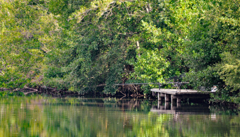 La Fonte, French Carp Lake, Swim 2
