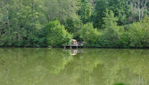 La Fonte, French Carp Lake, Swim 2