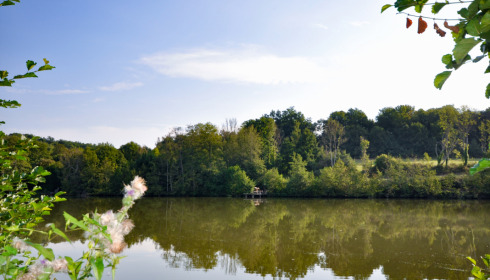La Fonte, French Carp Lake, lake photo 20