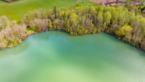 Lepinet North, Carp fishing in France, Swim 11 (Single)