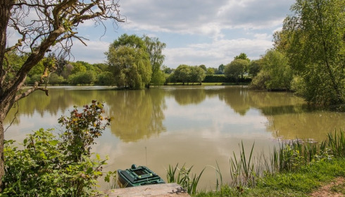 Lillybelle, Carp Fishing in France, lake photo 30