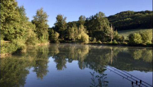 Mas Bas Lotus Lake, Carp fishing with accommodation, lake photo 17
