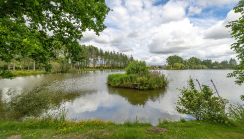 Mystique, Carp Fishing France with Accommodation, lake photo 23