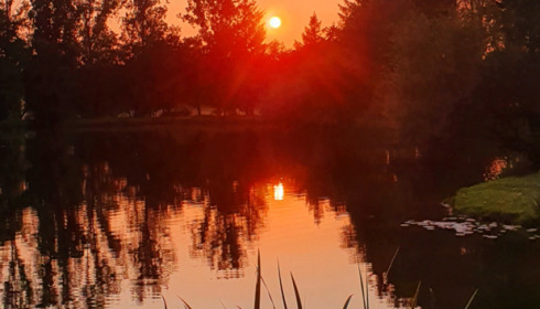 Mystique, Carp Fishing France with Accommodation, lake photo 6