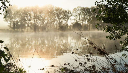 Mystique, Carp Fishing France with Accommodation, lake photo 4