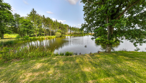 Mystique, Carp Fishing France with Accommodation, lake photo 15
