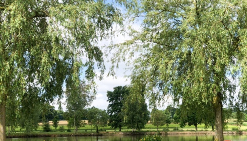 Mystique, Carp Fishing France with Accommodation, lake photo 1