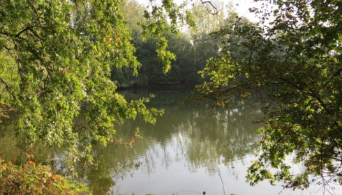 Old Oaks, Carp France, lake photo 5