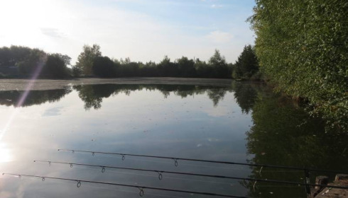 Old Oaks, Carp France, lake photo 12