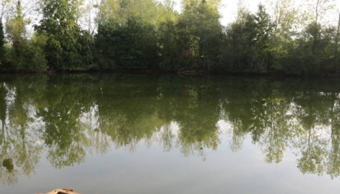 Old Oaks, Carp France, lake photo 19