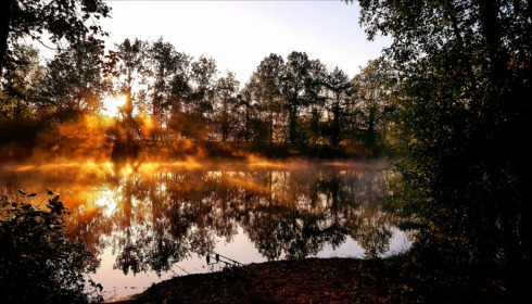 Old Oaks, Carp France, Photo by Paul Griffiths