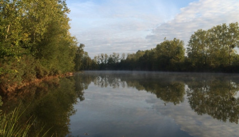 Old Oaks, Carp France, lake photo 7