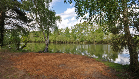 Old Oaks, Carp France, lake photo 14