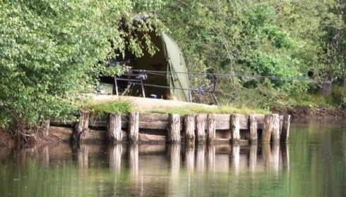 Old Oaks, Carp France, lake photo 23