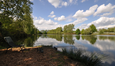 Old Oaks, Carp France, lake photo 9