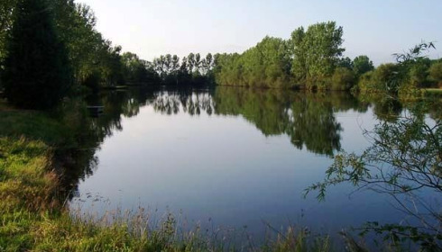 Old Oaks, Carp France, lake photo 29