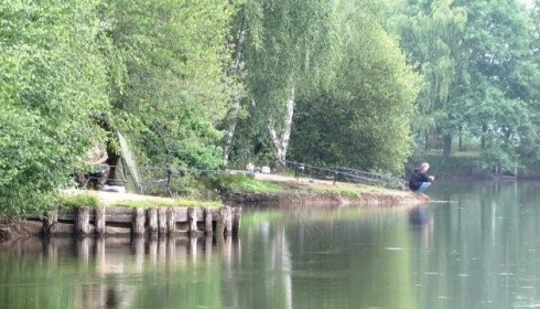 Old Oaks, Carp France, lake photo 20