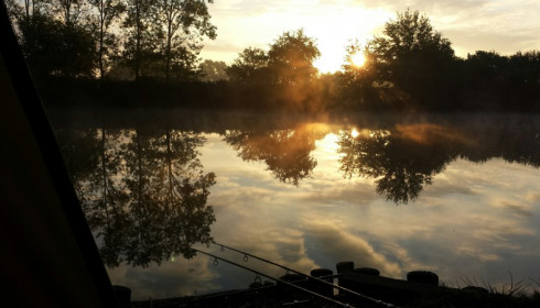 Old Oaks, Carp France, lake photo 1
