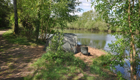 Old Oaks, Carp France, lake photo 6