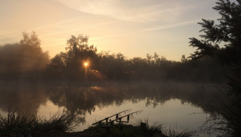 Old Oaks, Carp France, lake photo 8