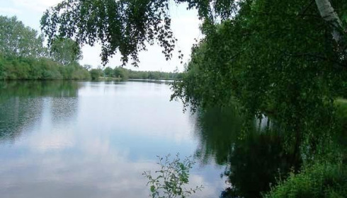 Old Oaks, Carp France, lake photo 28