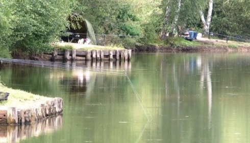 Old Oaks, Carp France, lake photo 22