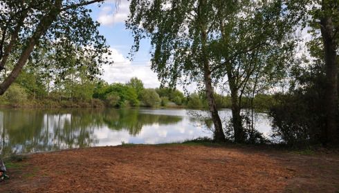 Old Oaks, Carp France, lake photo 10