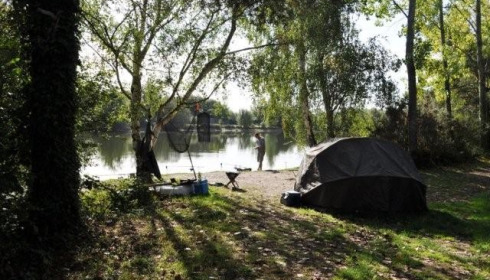 Old Oaks, Carp France, lake photo 4