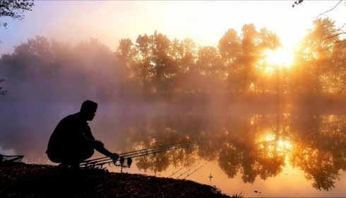 Old Oaks, Carp France, Photo by Paul Griffiths