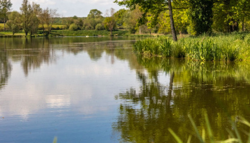 Ragon, Carp Fishing in France, lake photo 6
