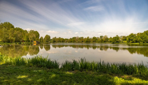 Ragon, Carp Fishing in France, lake photo 31