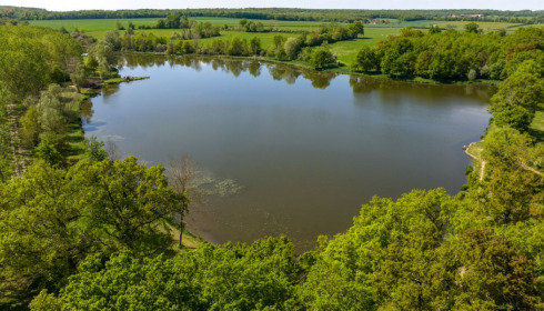 Ragon, Carp Fishing in France, lake photo 22