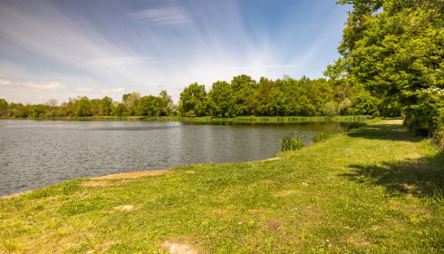Ragon, Carp Fishing in France, lake photo 3