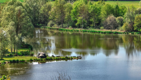 Ragon, Carp Fishing in France, lake photo 25