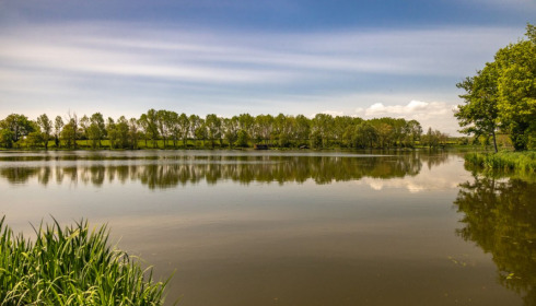 Ragon, Carp Fishing in France, lake photo 23