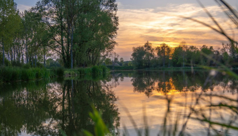 Ragon, Carp Fishing in France, lake photo 13