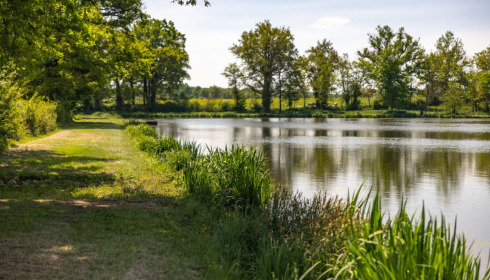 Ragon, Carp Fishing in France, lake photo 11