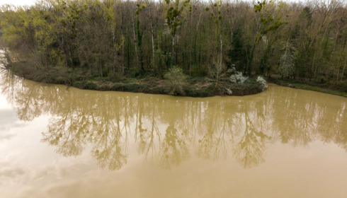 Renarde, Carp Fishing France, lake photo 21