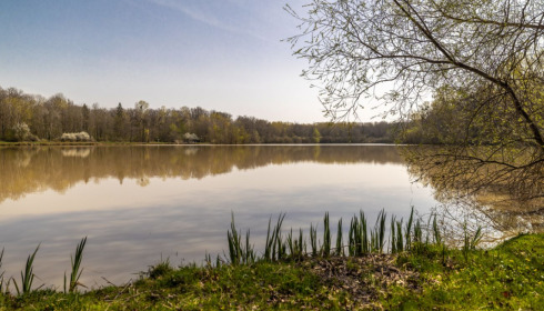 Renarde, Carp Fishing France, lake photo 24