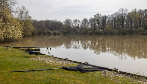 Renarde, Carp Fishing France, lake photo 19