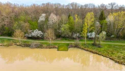 Renarde, Carp Fishing France, Swim 3