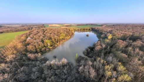 Renarde, Carp Fishing France, lake photo 3